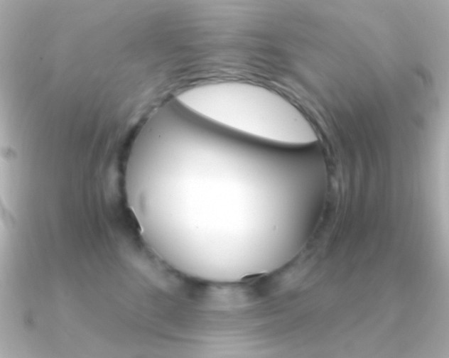X0000091340520200708101446