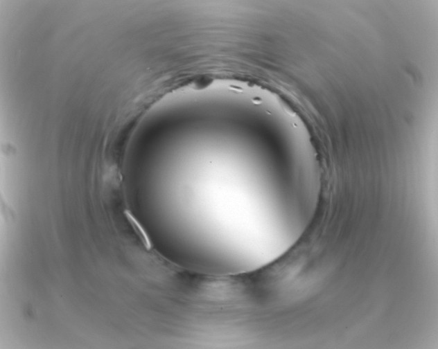 X0000091340521200708101446