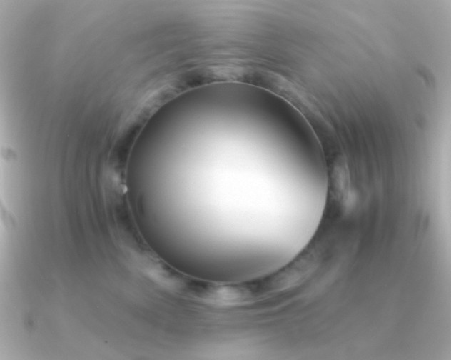 X0000091340522200708101446