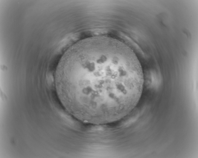 X0000091340523200708101446