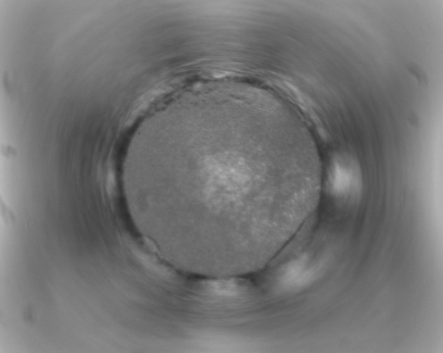 X0000091340524200708101446