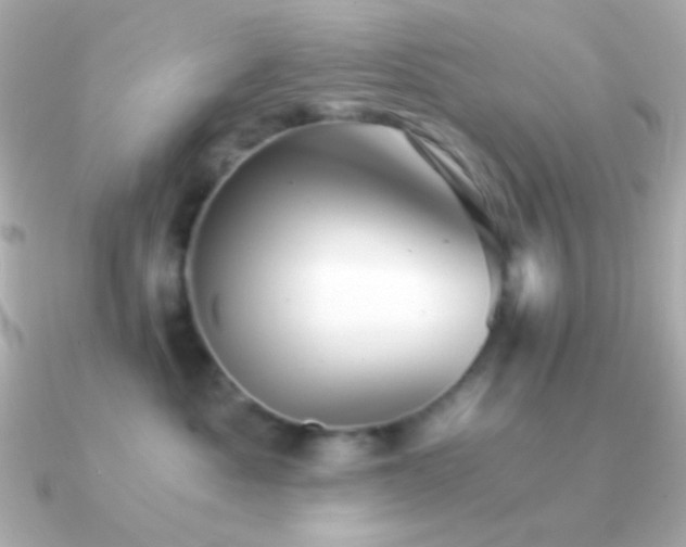 X0000091340525200708101446