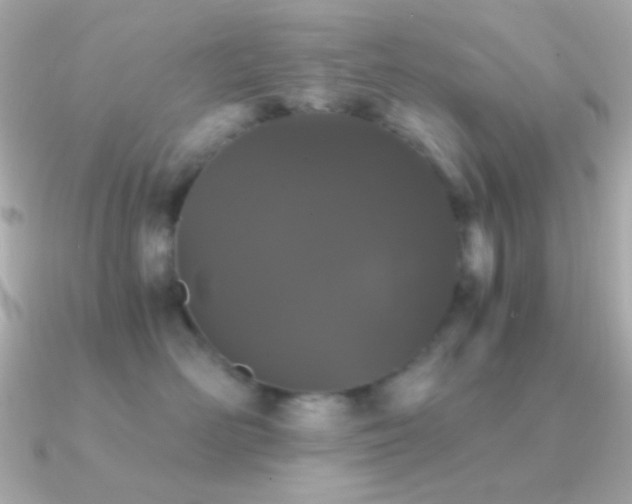 X0000091340526200708101446