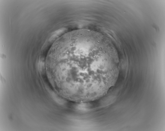 X0000091340527200708101446