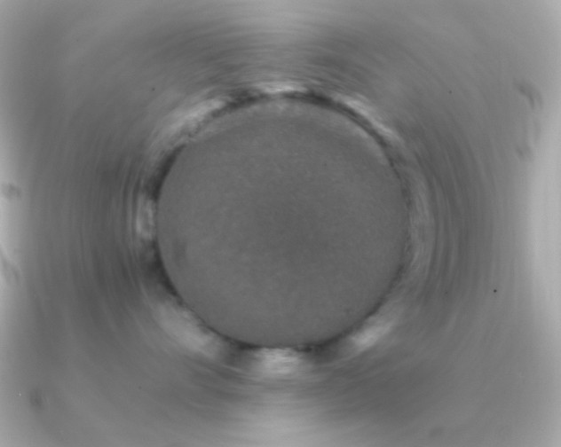 X0000091340528200708101446