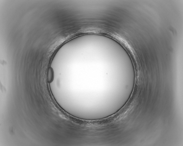 X0000091340529200708101445