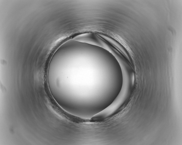 X0000091340530200708101445