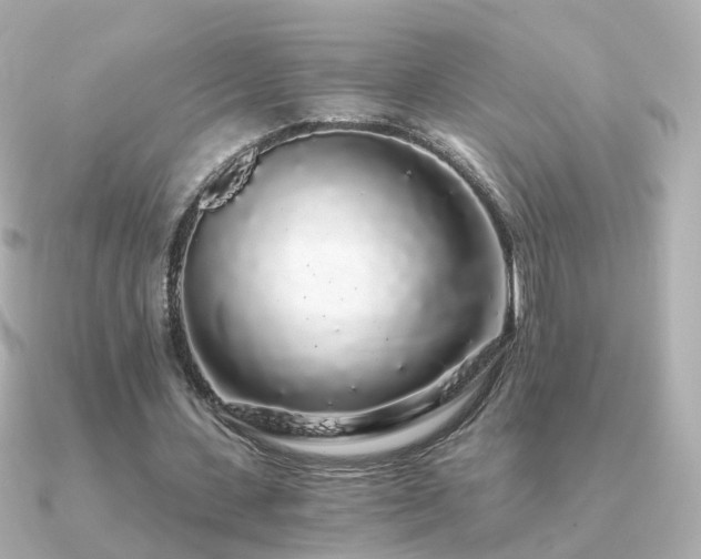 X0000091340531200708101445