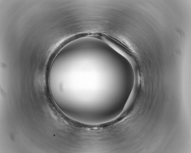 X0000091340532200708101445