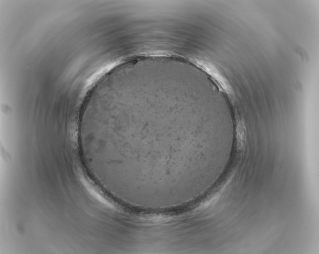X0000091340533200708101445