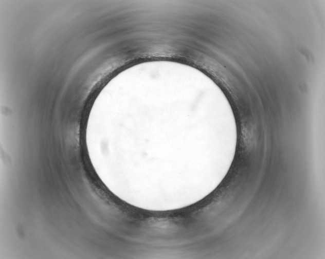 X0000091340534200708101445