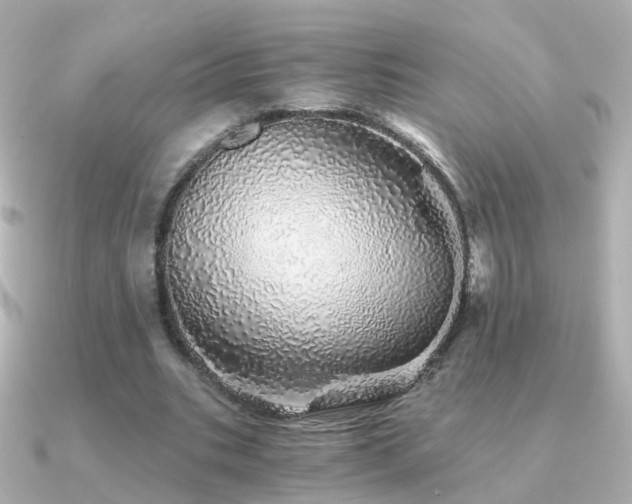 X0000091340535200708101445