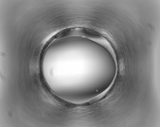 X0000091340536200708101445