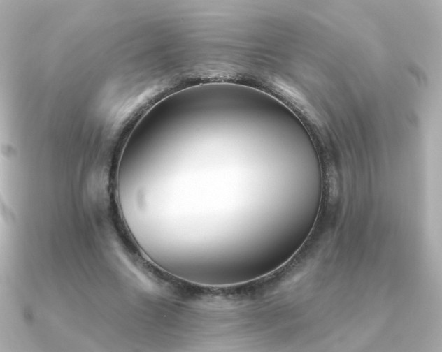 X0000091340538200708101445