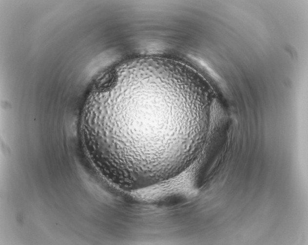 X0000091340543200708101445
