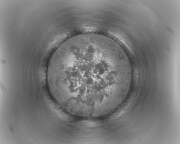 X0000091340545200708101445