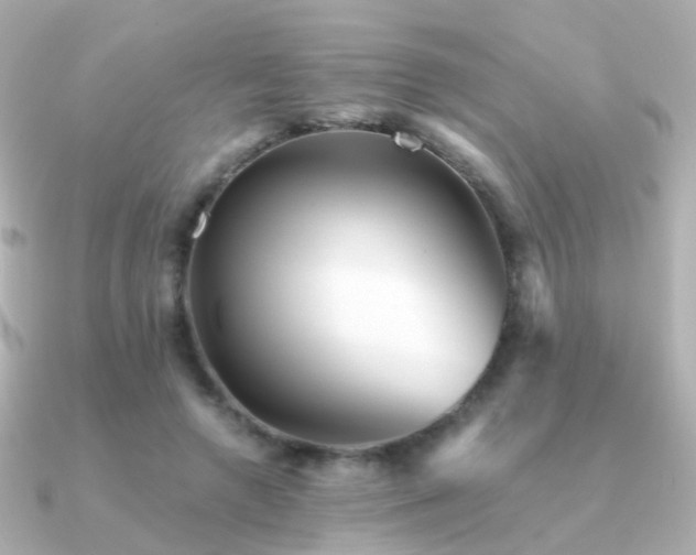 X0000091340546200708101445