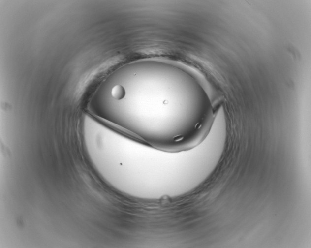 X0000091340547200708101445