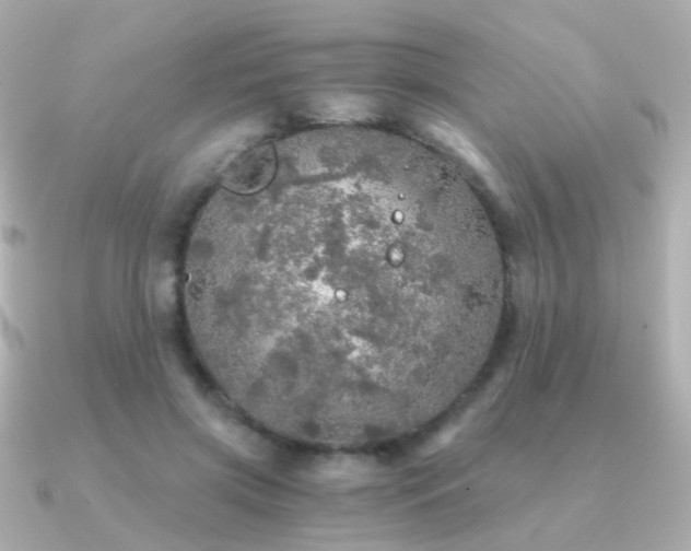 X0000091340549200708101445