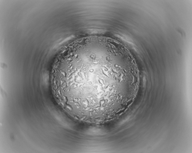 X0000091340550200708101445