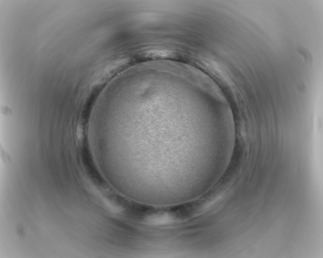 X0000091340551200708101445