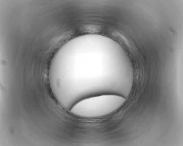 X0000091340553200708101445