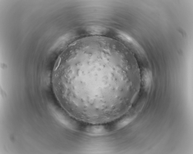 X0000091340554200708101445