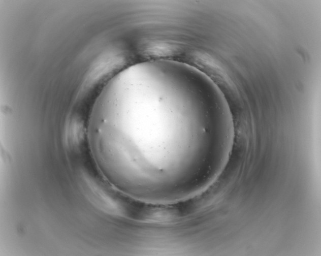 X0000091340555200708101445