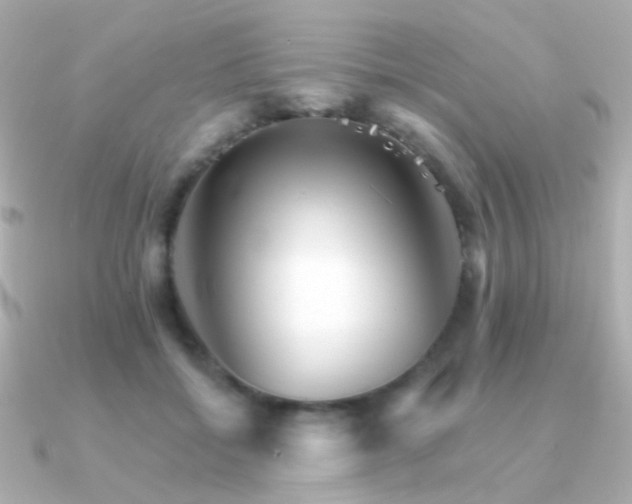 X0000091340556200708101445