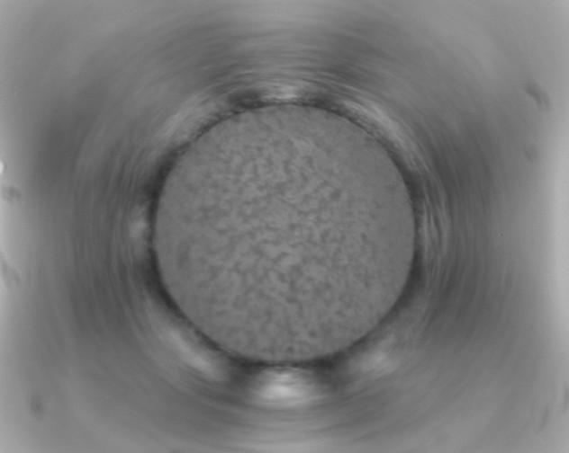 X0000091340557200708101445