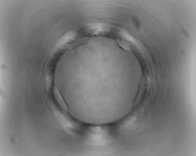 X0000091340558200708101445