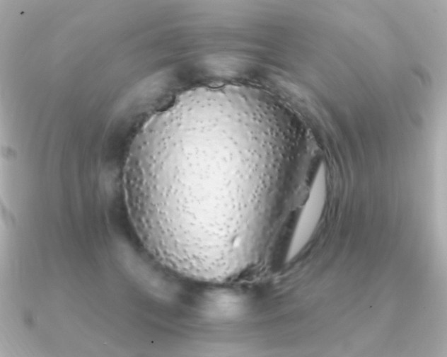 X0000091340559200708101445
