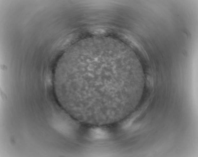 X0000091340561200708101445