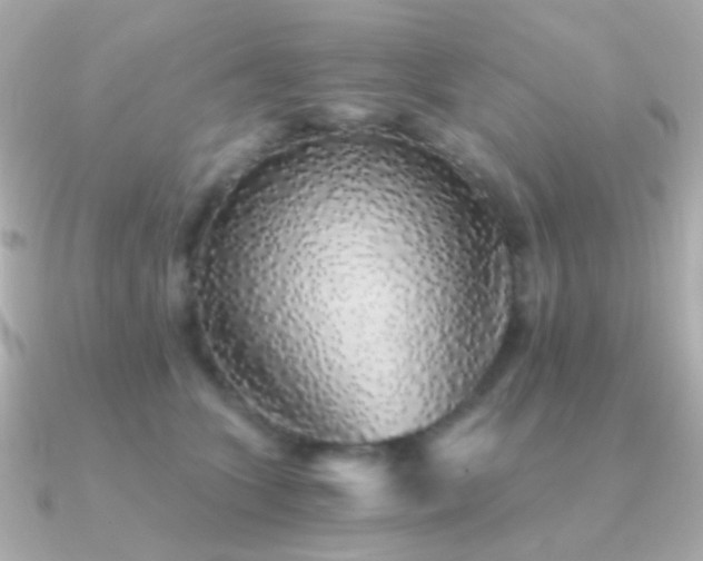 X0000091340563200708101445