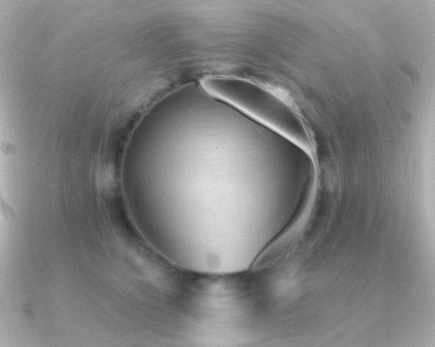 X0000091340564200708101445