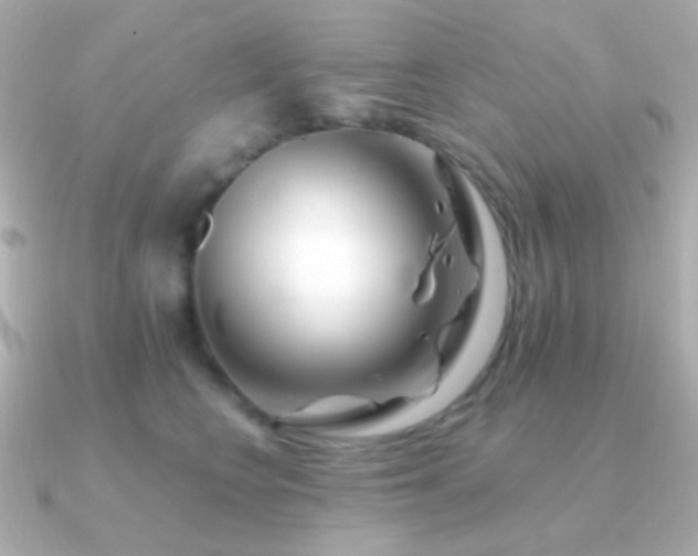 X0000091340566200708101446