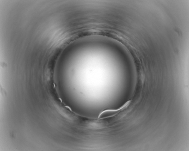 X0000091340567200708101446