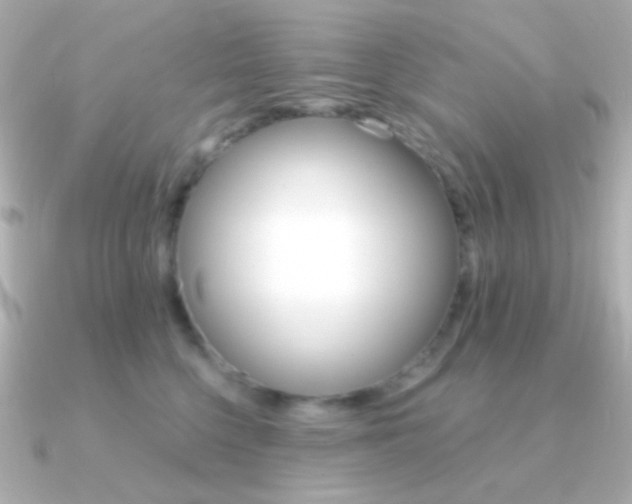 X0000091340568200708101446