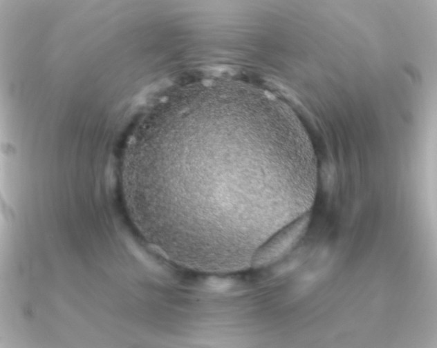X0000091340570200708101446