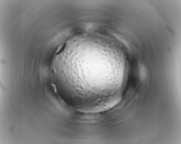 X0000091340571200708101446