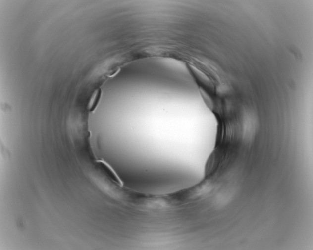 X0000091340572200708101446