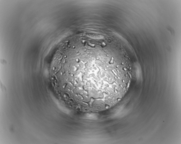 X0000091340573200708101446