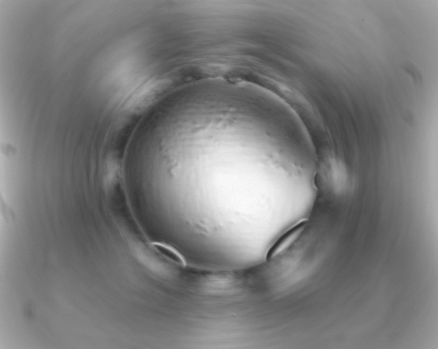 X0000091340574200708101446