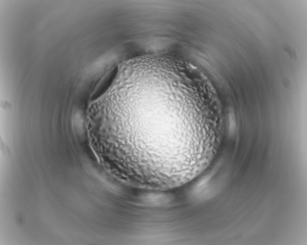 X0000091340575200708101446