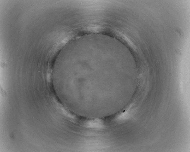 X0000091340576200708101446
