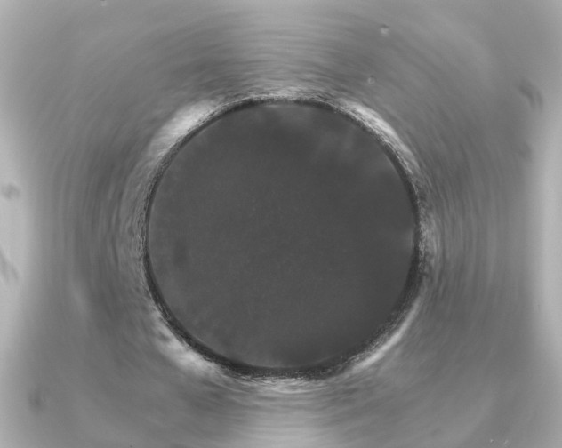 X0000091340577200708101445
