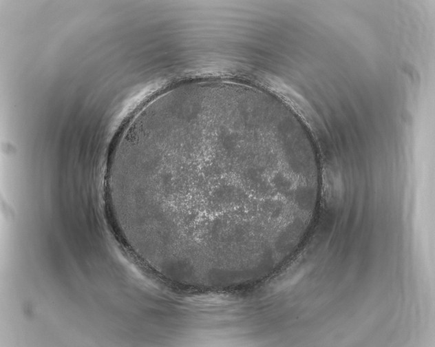X0000091340578200708101445