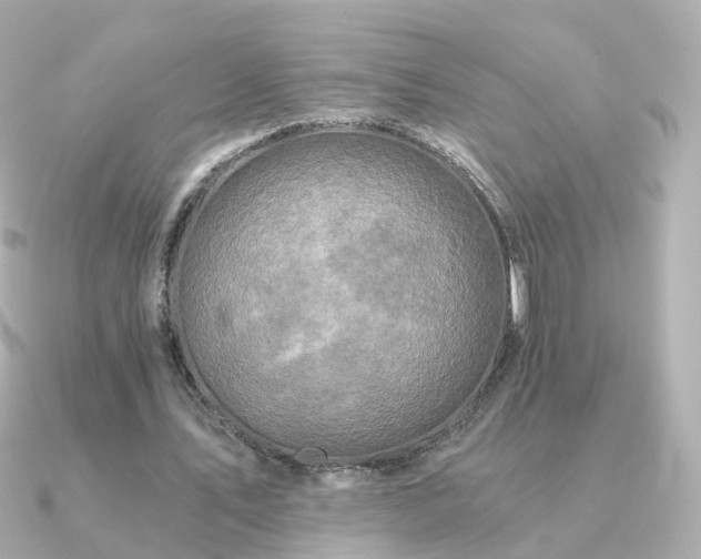 X0000091340579200708101445
