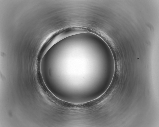 X0000091340580200708101445
