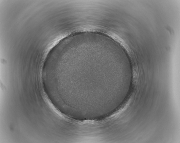 X0000091340581200708101445